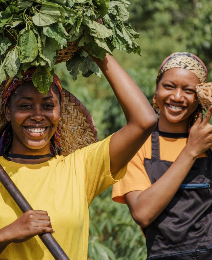 Organic farms avoid toxic inputs, improve soil health, grow clean, sustainable food that supports nature.