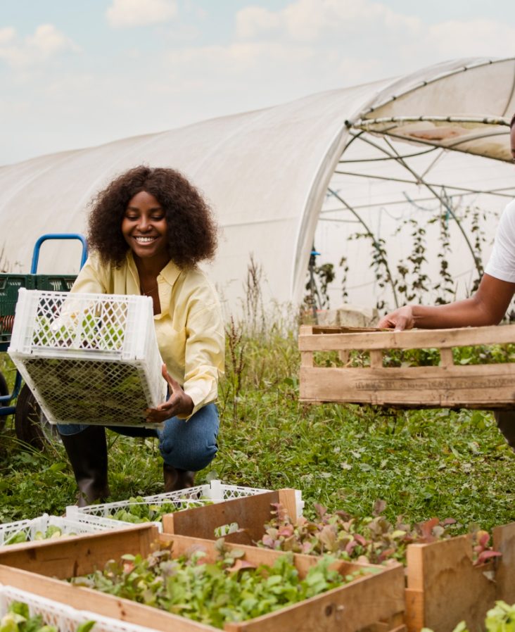 Organic farms avoid toxic inputs, improve soil health, grow clean, sustainable food that supports nature.