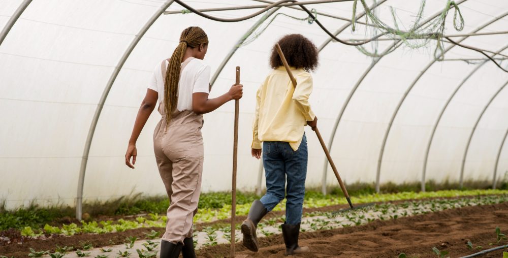 Organic farms avoid toxic inputs, improve soil health, grow clean, sustainable food that supports nature.