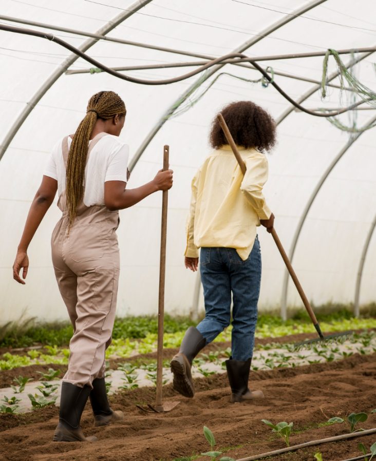 Organic farms avoid toxic inputs, improve soil health, grow clean, sustainable food that supports nature.