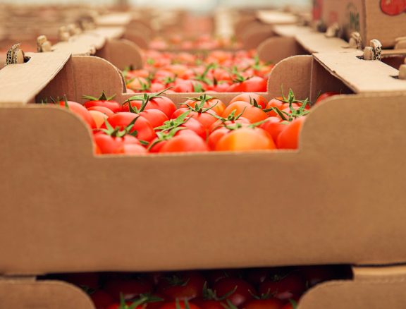 End-to-end export solutions for fiber, grains and livestock products with full compliance documentation.