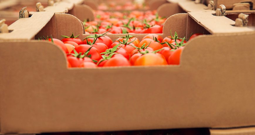 End-to-end export solutions for fiber, grains and livestock products with full compliance documentation.