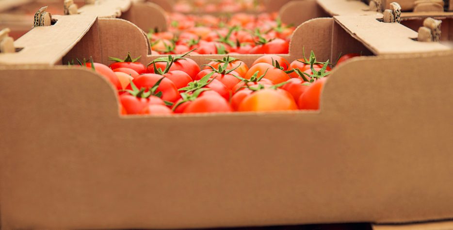 End-to-end export solutions for fiber, grains and livestock products with full compliance documentation.