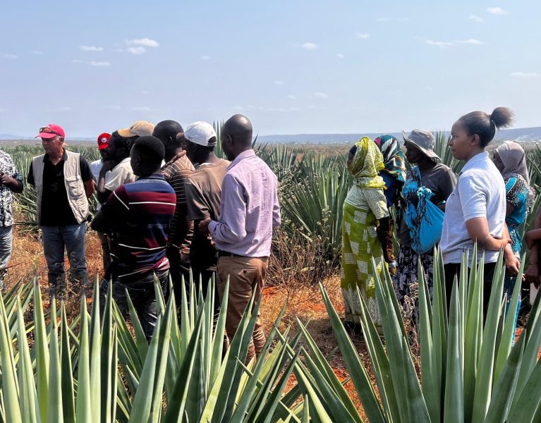 There are many variations of passages of Lorem Ipsum available, but majority have suffered teration in some form, by injected humour, or randomised words which don't look even slight believable. If you are going to use a passage of Lorem Ipsum.