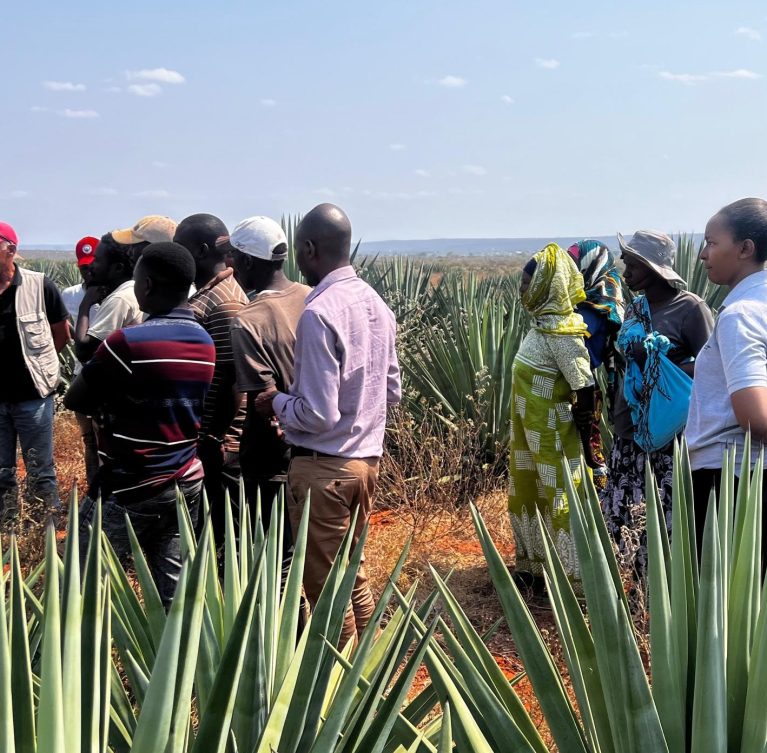 There are many variations of passages of Lorem Ipsum available, but majority have suffered teration in some form, by injected humour, or randomised words which don't look even slight believable. If you are going to use a passage of Lorem Ipsum.