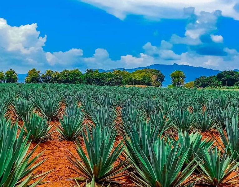 There are many variations of passages of Lorem Ipsum available, but majority have suffered teration in some form, by injected humour, or randomised words which don't look even slight believable. If you are going to use a passage of Lorem Ipsum.