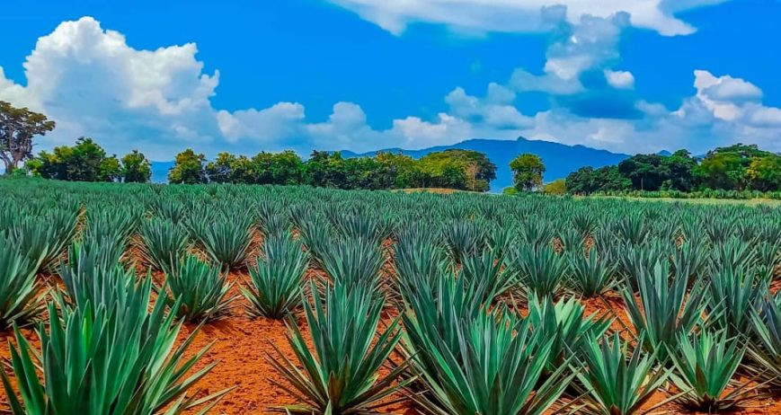 There are many variations of passages of Lorem Ipsum available, but majority have suffered teration in some form, by injected humour, or randomised words which don't look even slight believable. If you are going to use a passage of Lorem Ipsum.