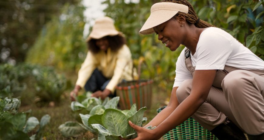 Organic farms avoid toxic inputs, improve soil health, grow clean, sustainable food that supports nature.