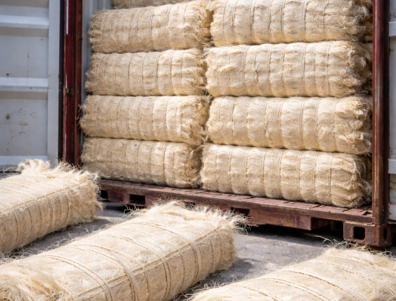 Efficient packaging, documentation and global shipment of graded sisal fiber to international manufacturers and distributors.